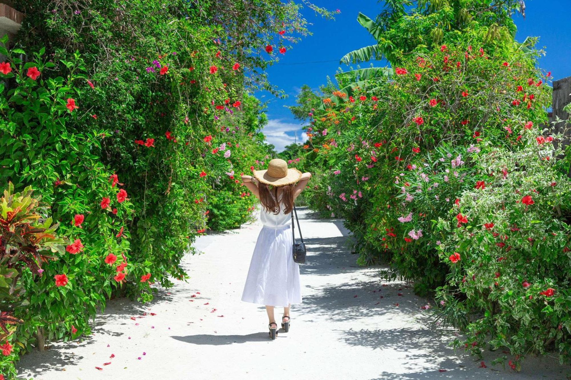 Comfort Hotel Ishigaki Island Εξωτερικό φωτογραφία